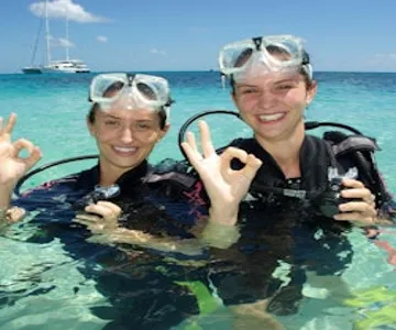 Michaelmas Cay Great Barrier Reef Sailing Cruise from Cairns